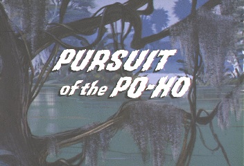 Pursuit of the PoHo Title Card