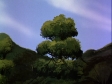 treetop resting place