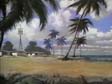 Palm Key exterior