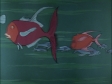 sea life near Palm Key