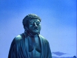 The Enlightened One