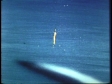 launch of the man-to-the-moon rocket